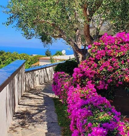 Appartamenti Luongo Forio di Ischia Dış mekan fotoğraf