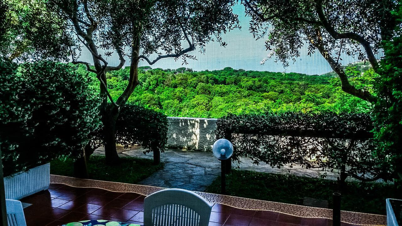 Appartamenti Luongo Forio di Ischia Dış mekan fotoğraf