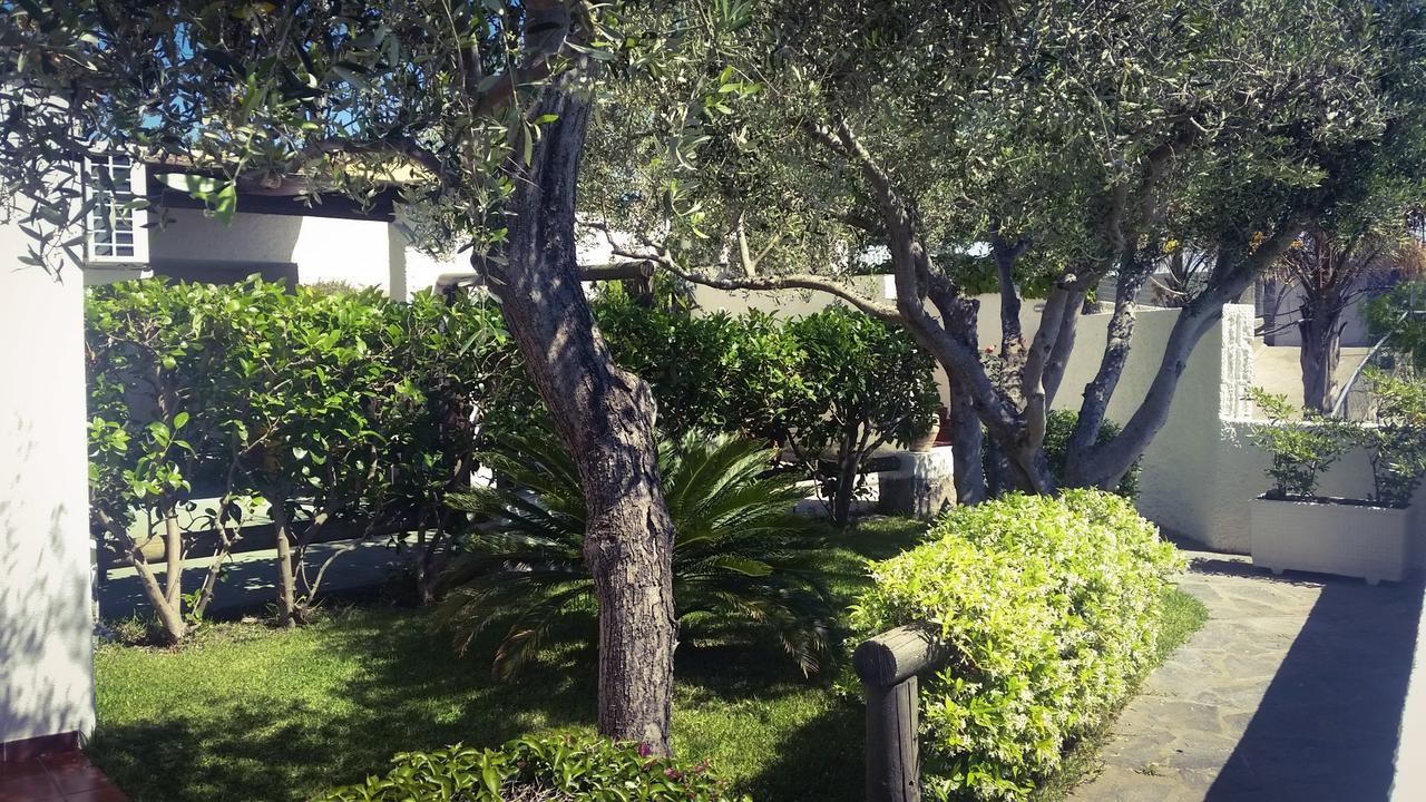 Appartamenti Luongo Forio di Ischia Dış mekan fotoğraf