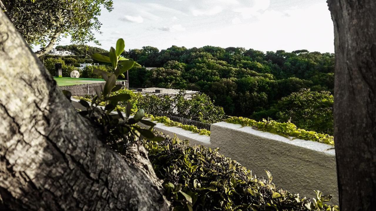 Appartamenti Luongo Forio di Ischia Dış mekan fotoğraf