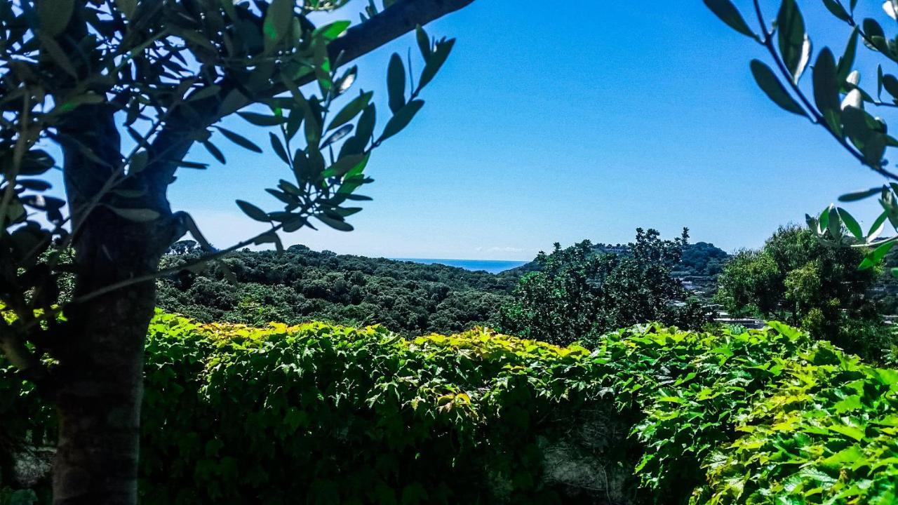 Appartamenti Luongo Forio di Ischia Dış mekan fotoğraf