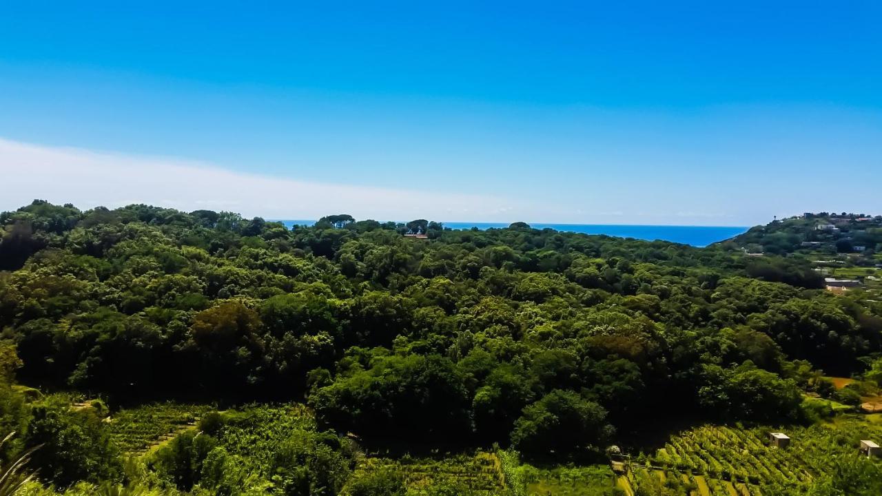 Appartamenti Luongo Forio di Ischia Dış mekan fotoğraf