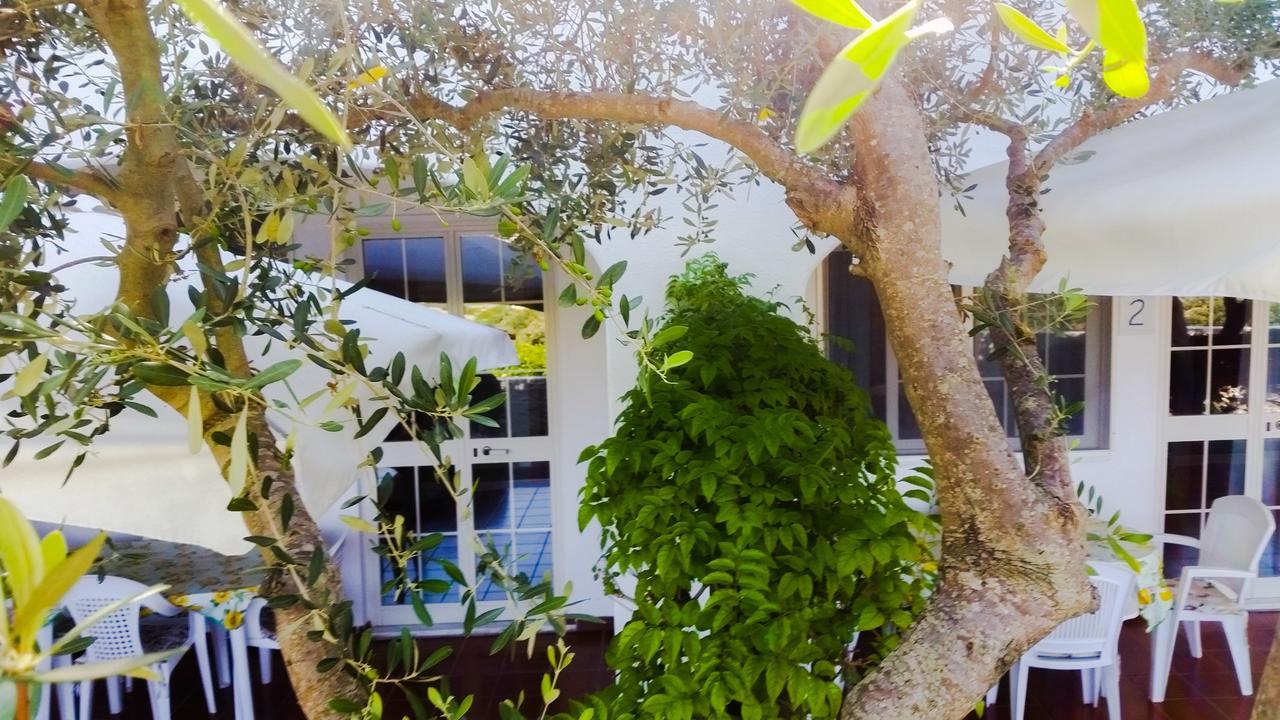 Appartamenti Luongo Forio di Ischia Dış mekan fotoğraf