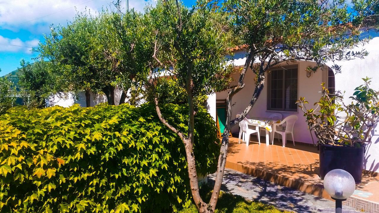 Appartamenti Luongo Forio di Ischia Dış mekan fotoğraf